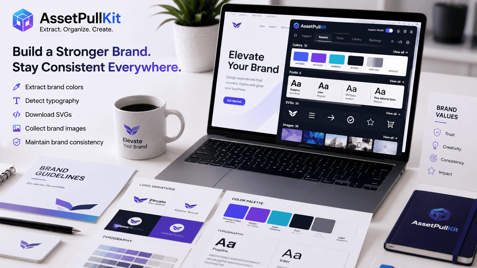 Unlock Your Brand's Full Potential: 3 Crucial Digital Asset Management Tips from AssetPullKit
